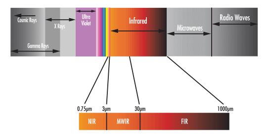 heruioptics.jpg